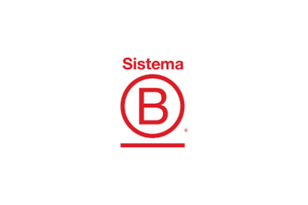 Logo de sistema B